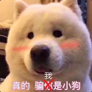 翔太家の妹抖龙