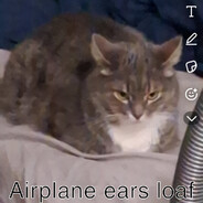 Puhas kass - steam id 76561198966751846