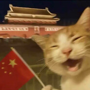 我不是睡神