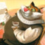 Senor Don Gato