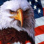 GOD DAMN I LOVE AMERICA!