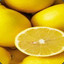 Lemon.PL