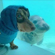 睡不醒的咸鱼蒋