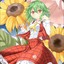 kazamiyuuka