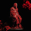 Avatar of Crista Galli