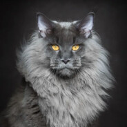 Ego's Steam Avatar