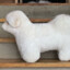 🖤🖤small white dog🖤🖤