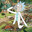 Rick