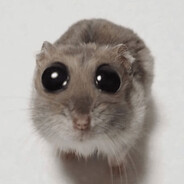 xD - steam id 76561198363313683