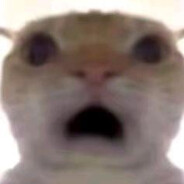 自魏以后先设晋 南梁结局是北朝