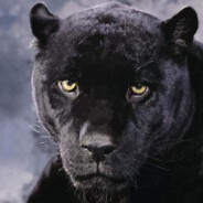 ChernaPantera avatar