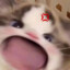 chxucream