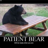 Patient.Bear - steam id 76561197964432020