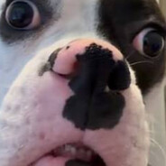 JubJub