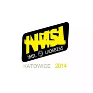 NIP的黄晓明本人