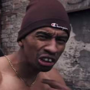 犬小屋のある犬