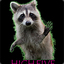 racoon_high