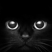 Malovin Steam avatar