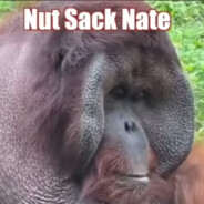 NutSackNate