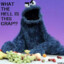 Cookie Monster