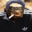 Gonor