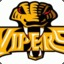 Vipers CS