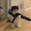 Mishifu456