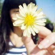 良辰不好斗，唯好解斗.