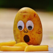 POTATO's Avatar