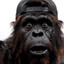 Big Foot