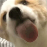 喜欢馒头币是中国人骨子里对碳水的渴望