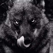qualls's avatar
