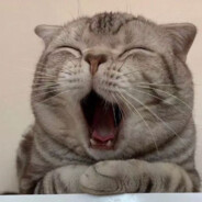 和小露去看海吧.