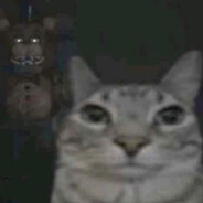 n0rmaL