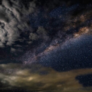 其实我是一颗玉米