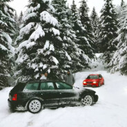 我来监督沙瑞金