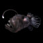 Lil Fishy