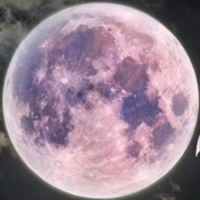 一直爱一直等待