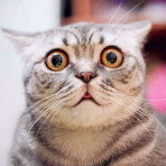 121.5 MEOWWWW's avatar
