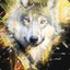 _-FireWolf-_