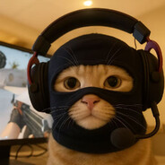 老子是只小猫咪