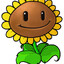 Girasol