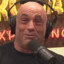 Joe Rogan