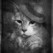 GreyHat