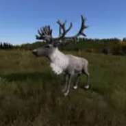 Mordo jest to towiec