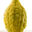 EL ETROG