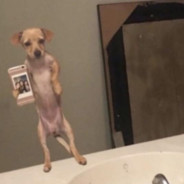 booty - steam id 76561198315860145