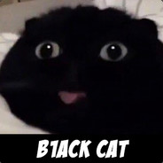 B1ack Cat