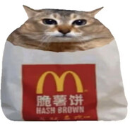 憧憬成为厘米哈机领域大神