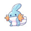 Mudkip